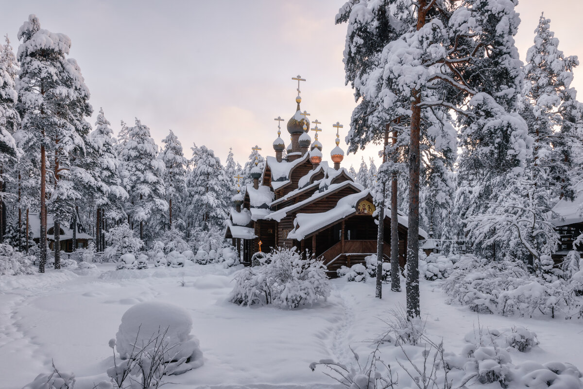 Сосново - Владимир Колесников Сосново - Владимир Колесников