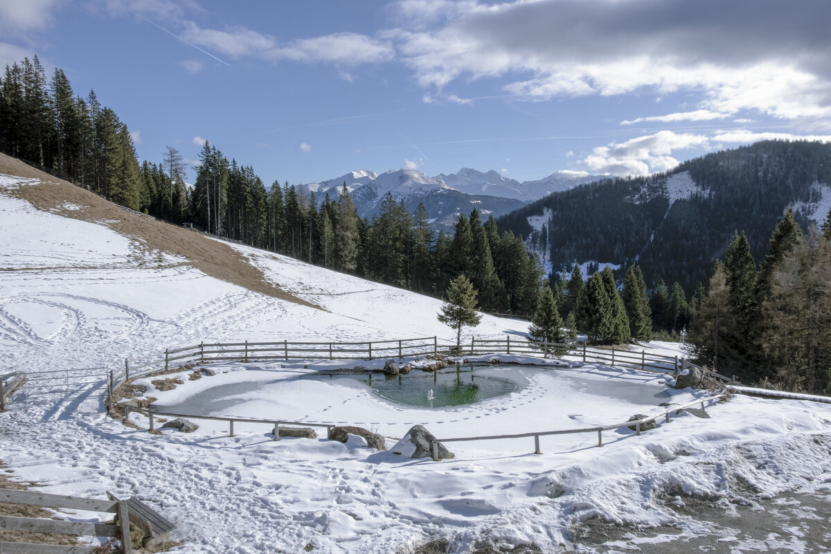 ** - Александр Липовецкий ** - Александр Липовецкий
