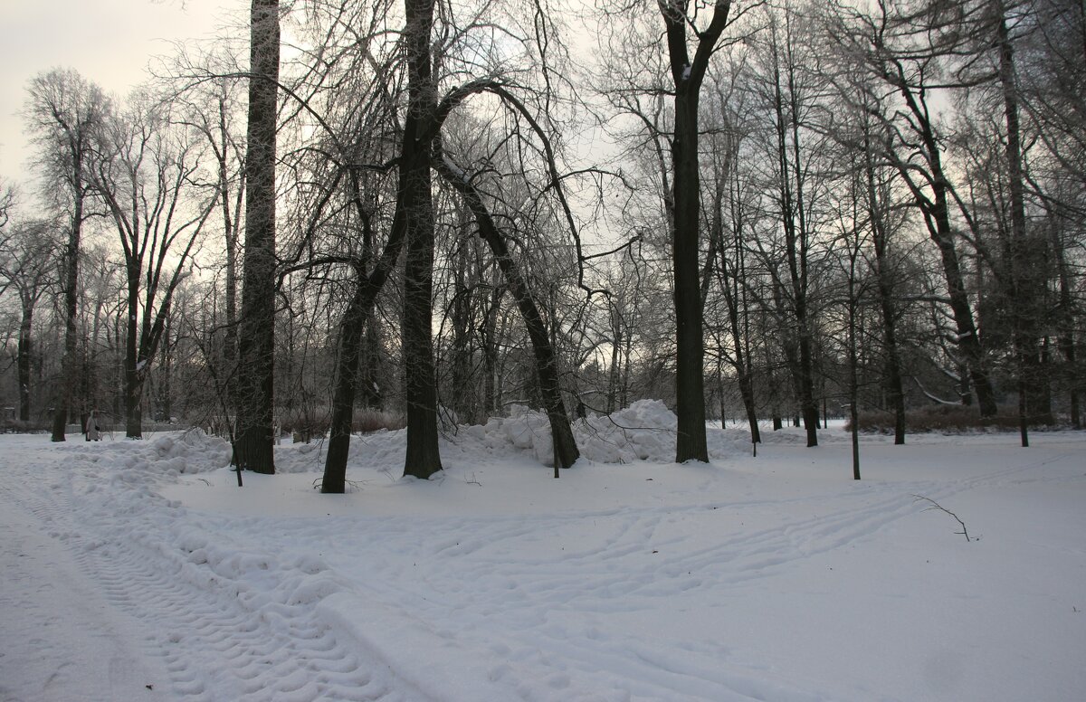 Парк Александрия - Наталья Герасимова Парк Александрия - Наталья Герасимова