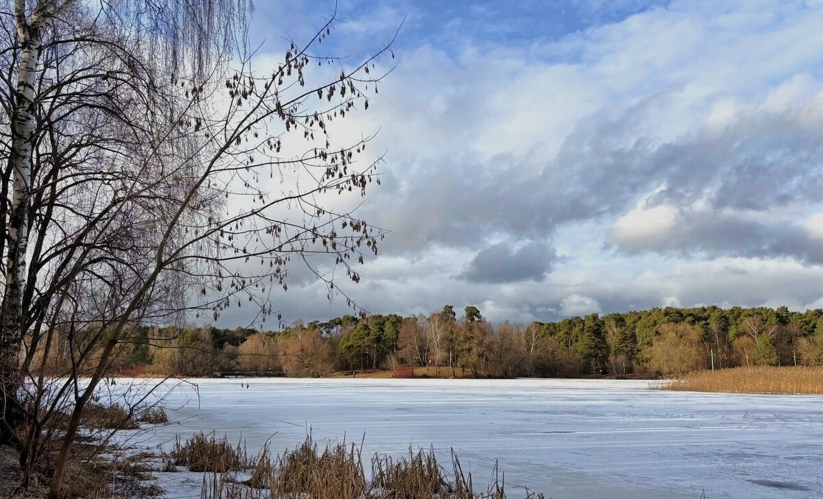 Долгожданная весна - Мария - Maria