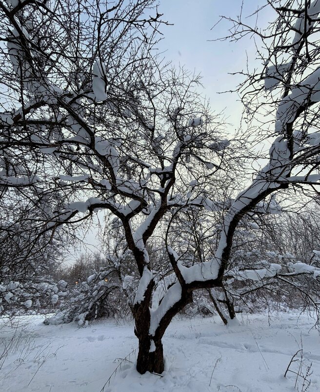 Застывшее в танце - Мария - Maria