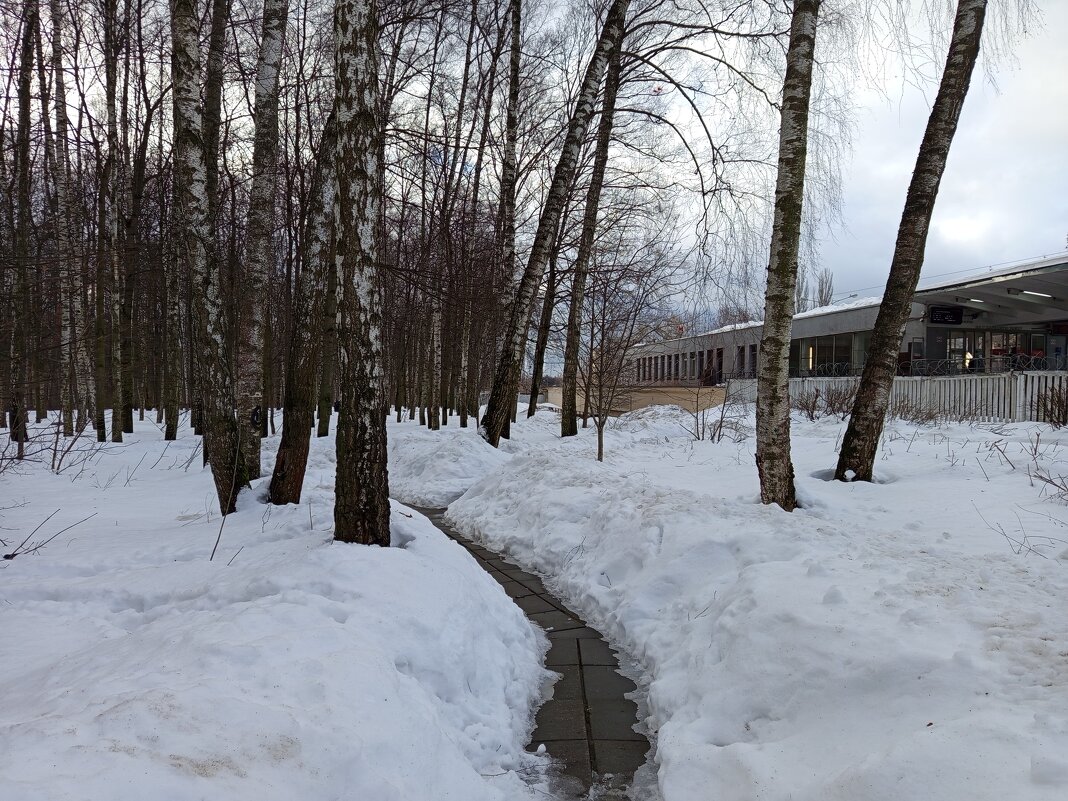 Март как он есть - Андрей Лукьянов Март как он есть - Андрей Лукьянов