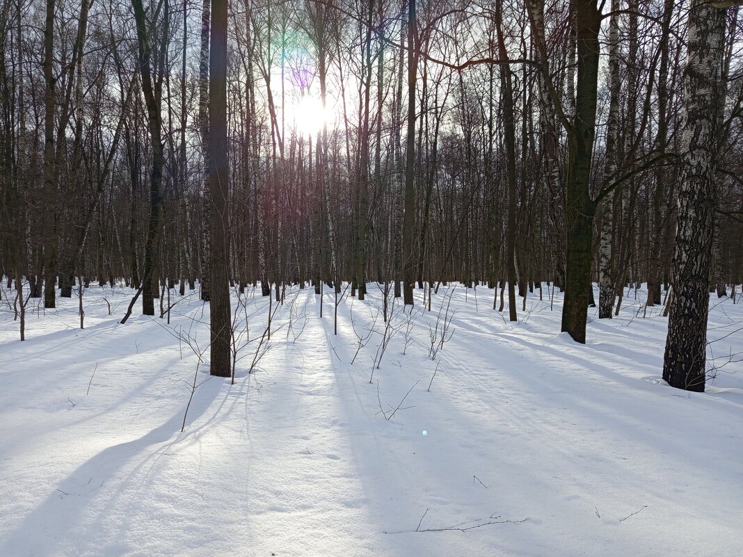 Март как он есть - Андрей Лукьянов Март как он есть - Андрей Лукьянов