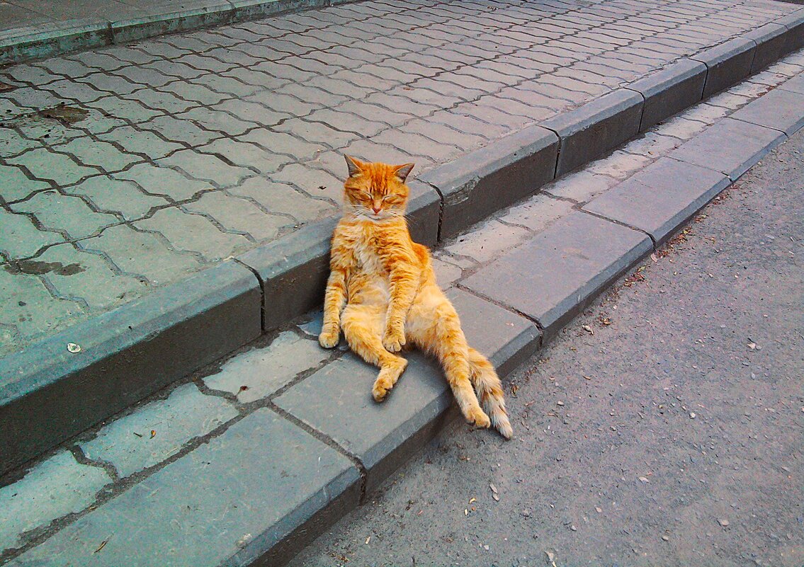 Хорошо сидим... - Nora Nowhere