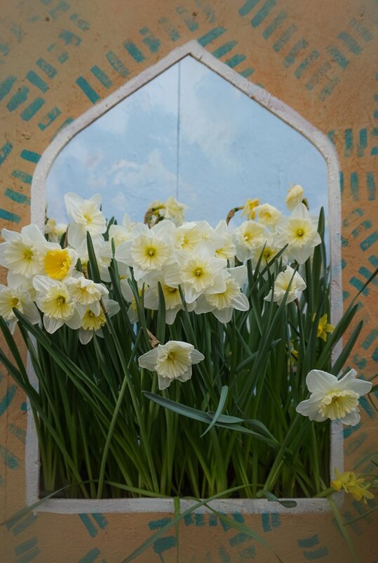 "Репетиция весны" в Аптекарском огороде - Ольга "Репетиция весны" в Аптекарском огороде - Ольга