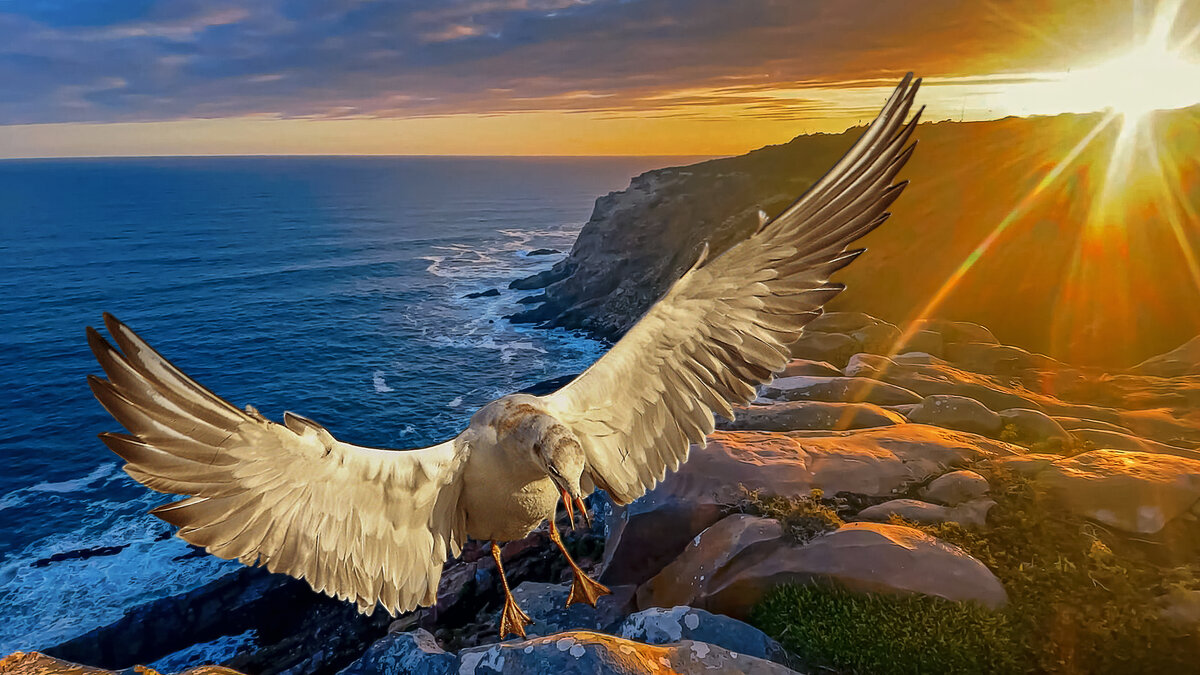 Закат на море - Aleksey Afonin