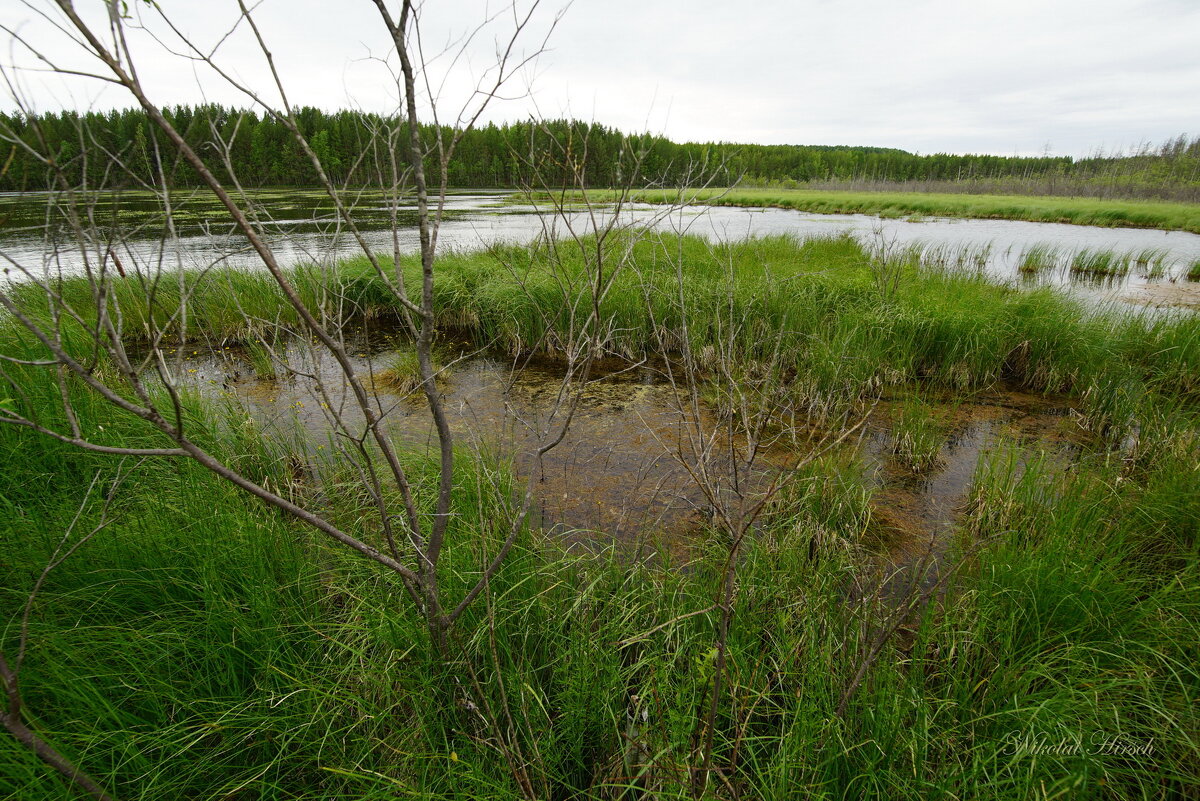 Уральские мотивы... - Николай Гирш Уральские мотивы... - Николай Гирш
