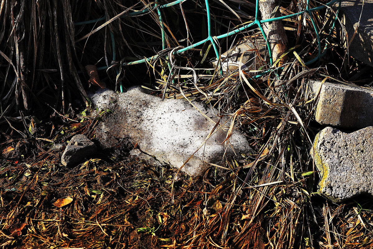 Зима vs весна - Юрий Гайворонскiий Зима vs весна - Юрий Гайворонскiий