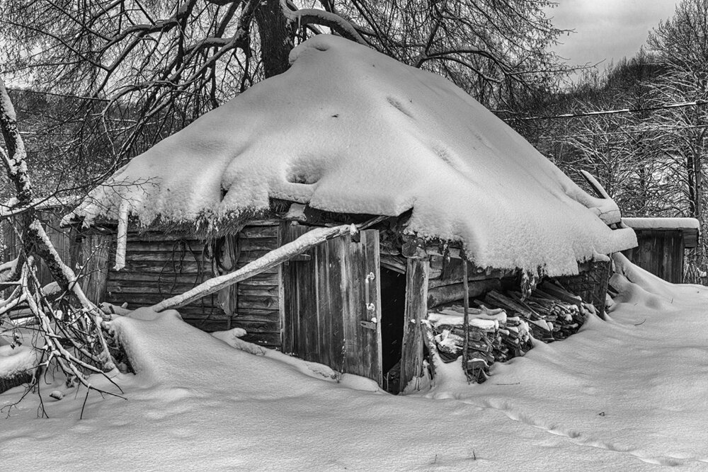 Дровник - Владимир Гришин Дровник - Владимир Гришин