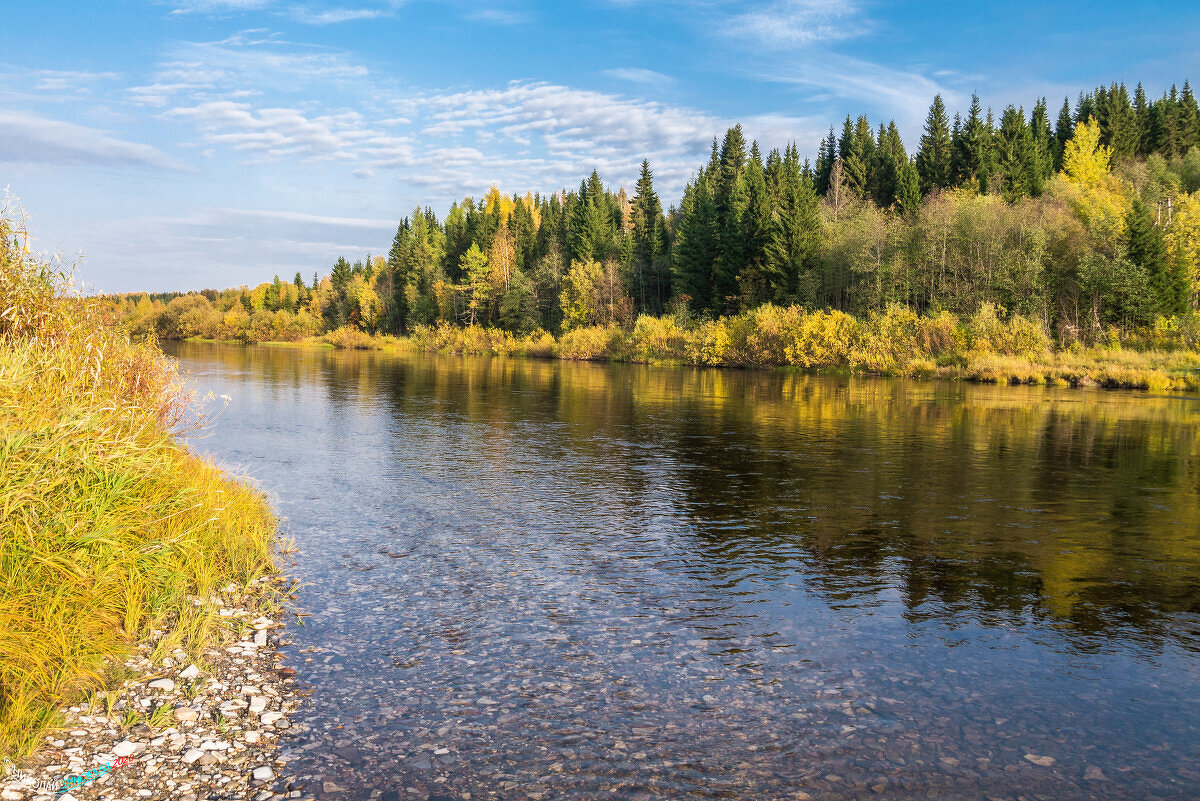 Золотая осень на перекате реки Ухта. Республика Коми. - Николай Зиновьев