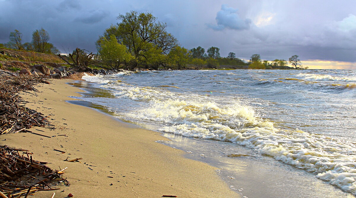 Свежая погода - В.И 