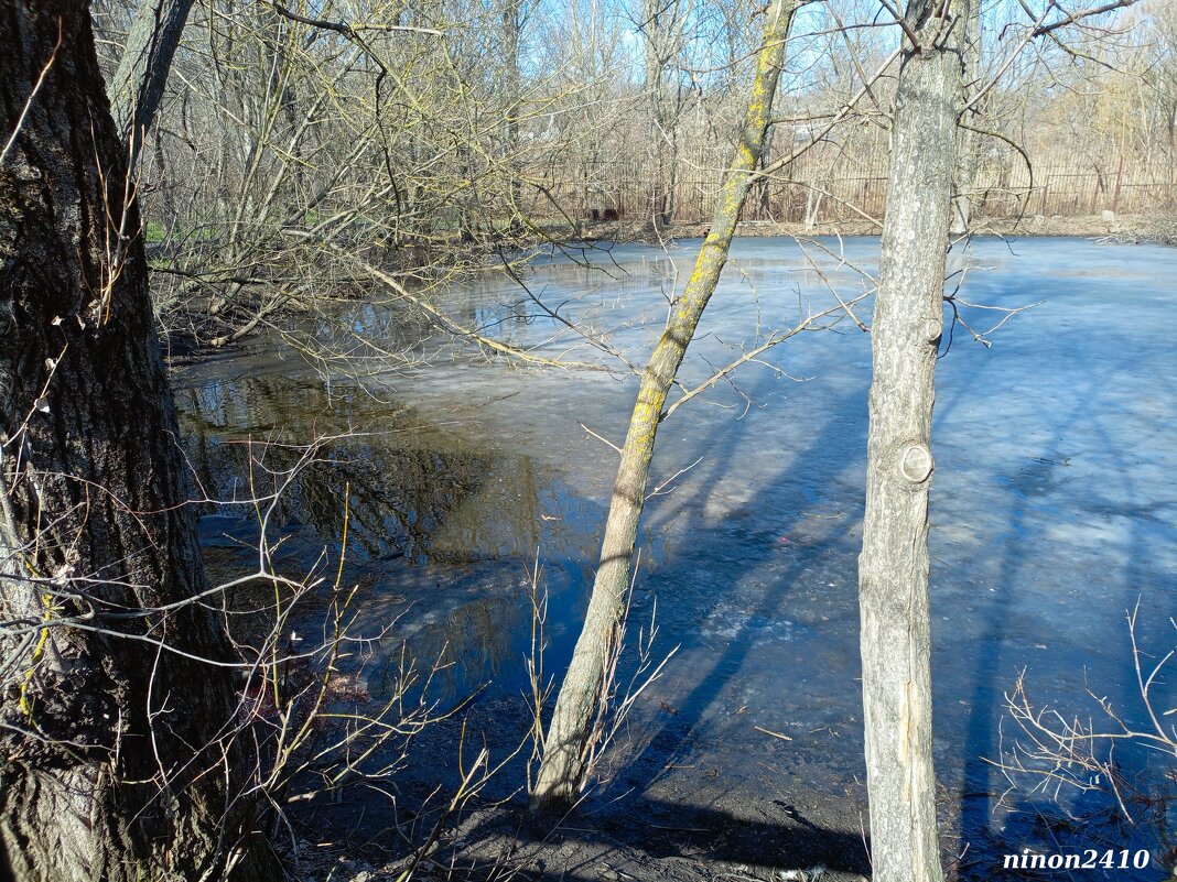 Март в ростовском зоопарке - Нина Бутко