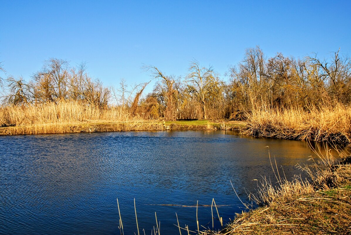 Весна. - Владимир Весна. - Владимир