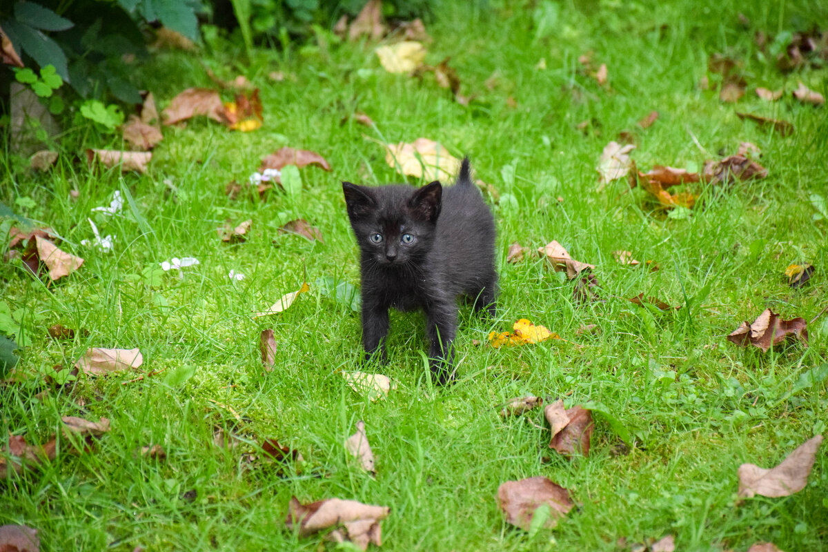 Маняшка маленькая - Валюша Черкасова Маняшка маленькая - Валюша Черкасова