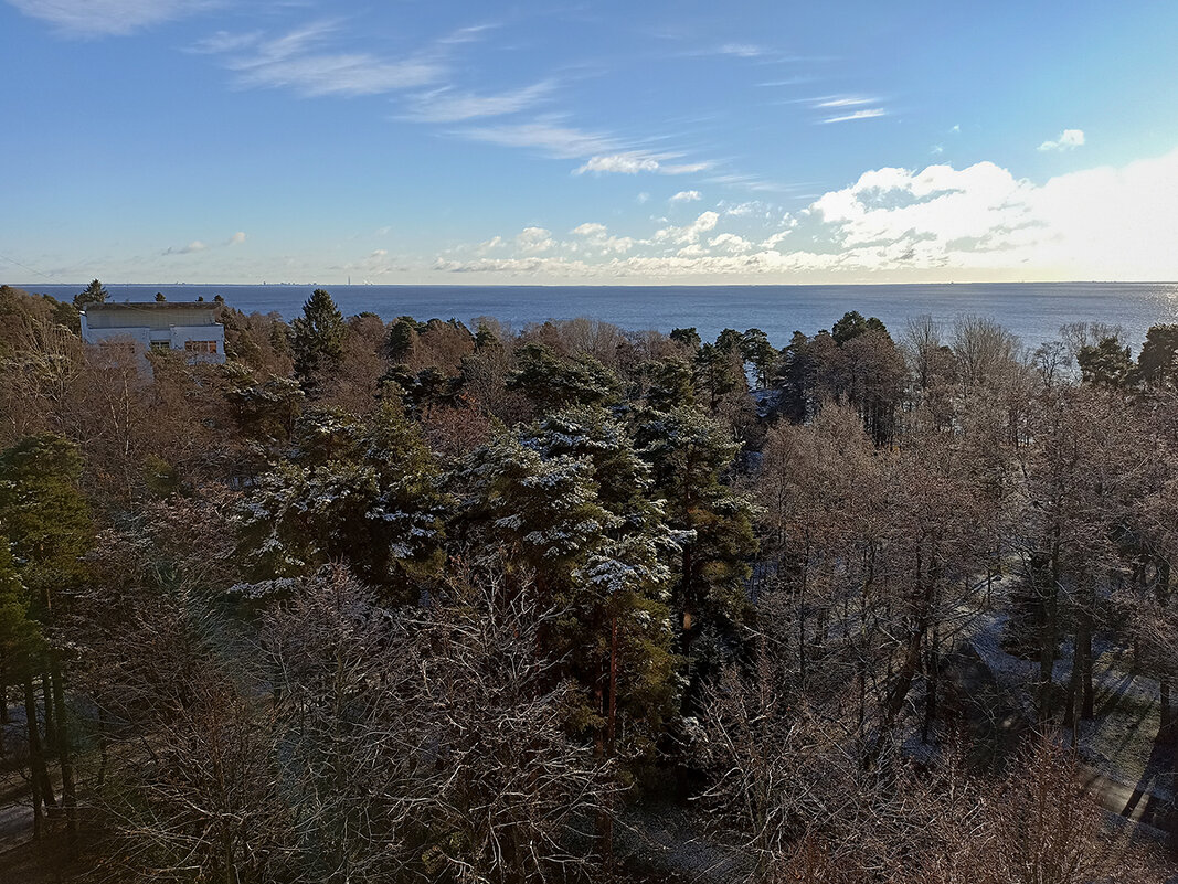 Лесопарк санатория "Северная Ривьера". - Лилия * Лесопарк санатория "Северная Ривьера". - Лилия *