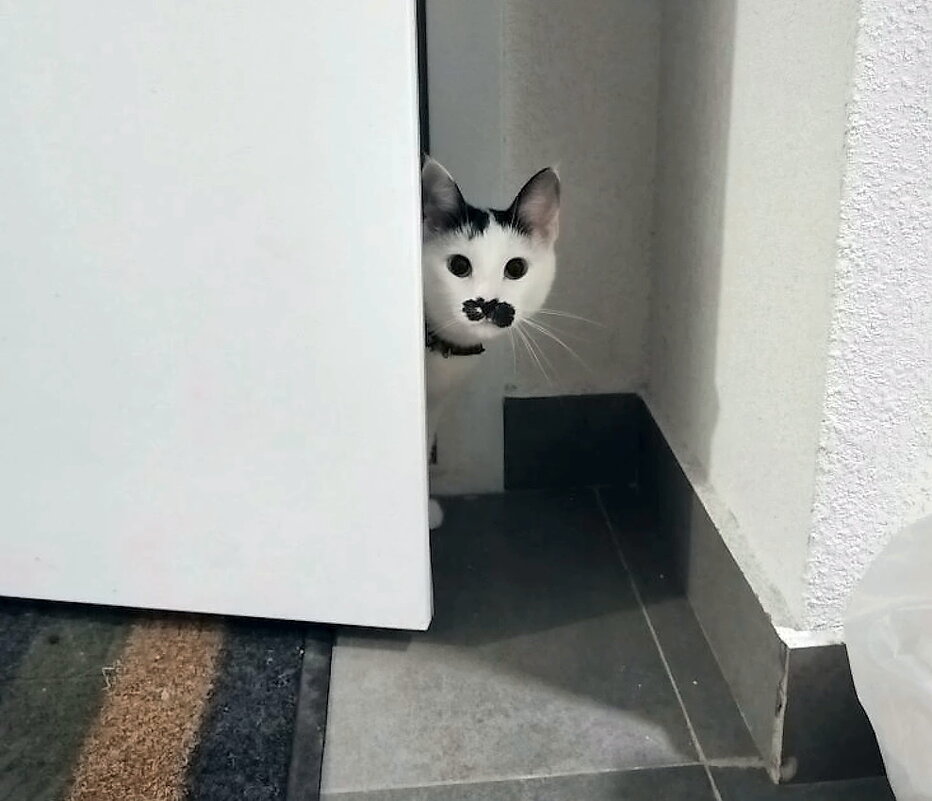 Любопытный Ёрик - Ольга Довженко