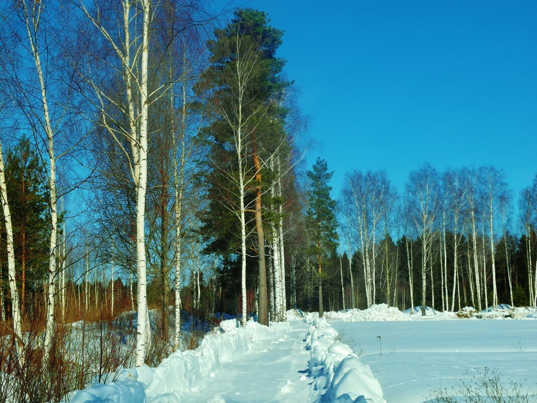 убранный снег - Владимир 