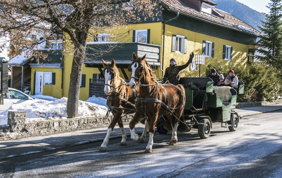 ** - Александр Липовецкий
