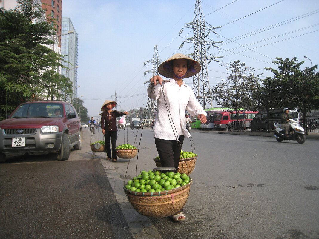 Дары земли вьетнамской! - unix (Илья Утропов)