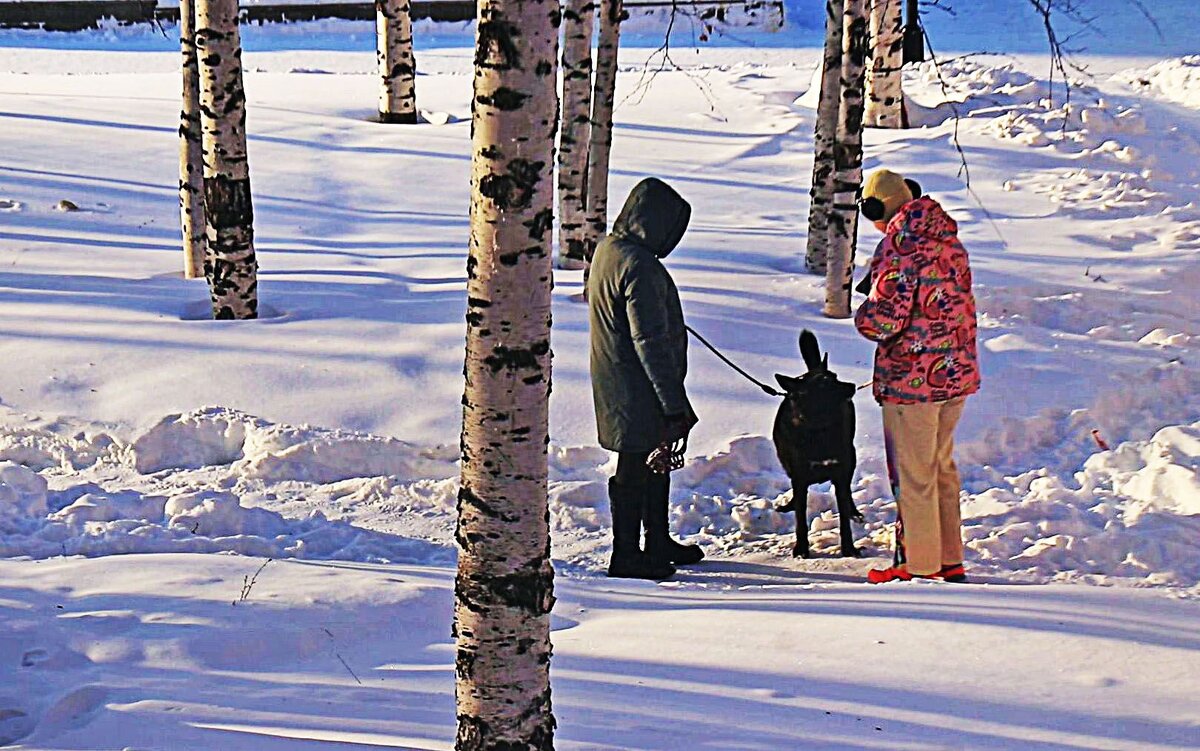 Март...Наш четвероногий друг! - Владимир 