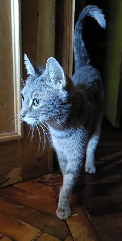 ... - Галина R...