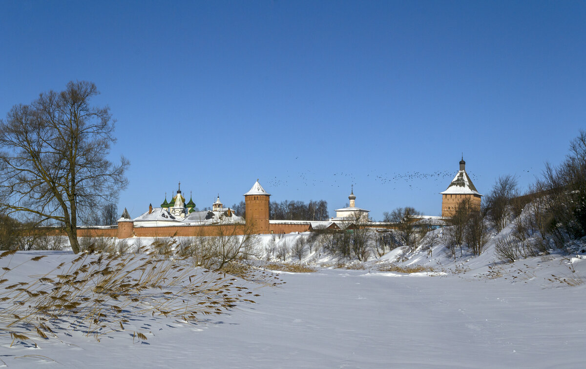 По курсу Спасо-Евфимиев монастырь - Сергей Цветков
