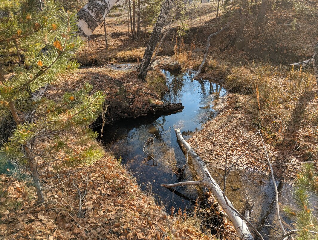 Течёт речка... - Андрей Хлопонин