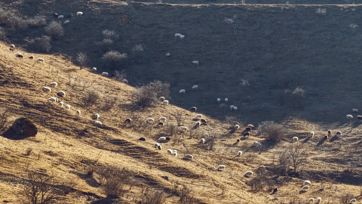 Ходячий шашлык в горах - Мариша Ходячий шашлык в горах - Мариша