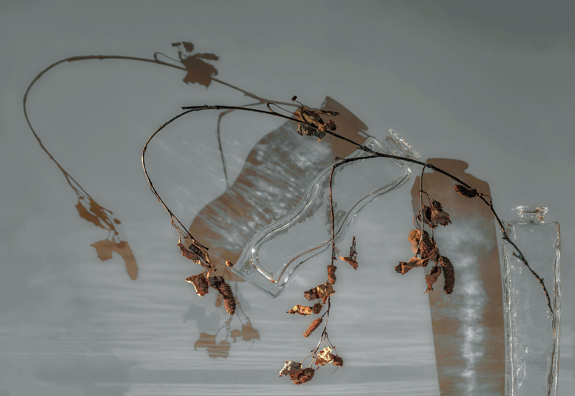 Веточка. - Владимир Владимир