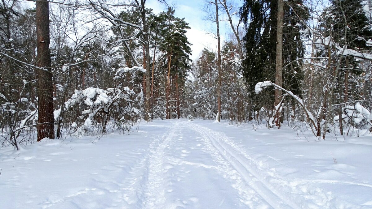 Февраль - Милешкин Владимир Алексеевич 