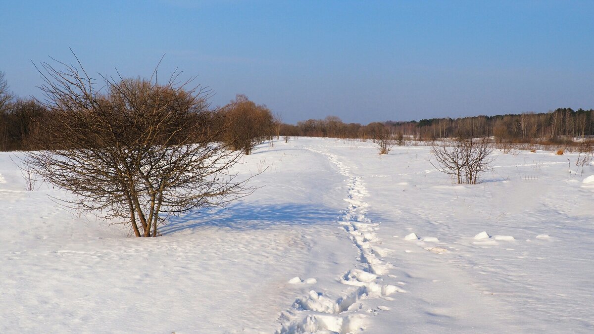 Весна в начале марта. - Милешкин Владимир Алексеевич 