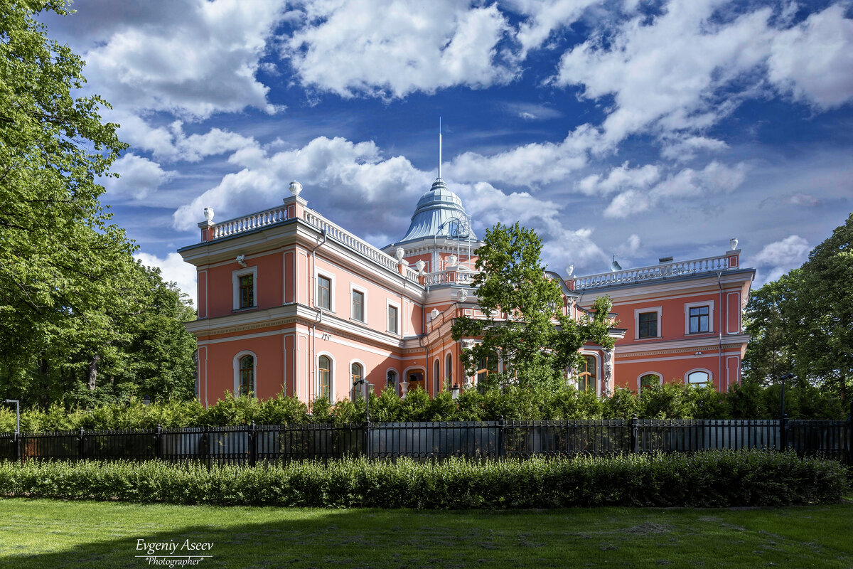 Этот город дворцов - Евгений 