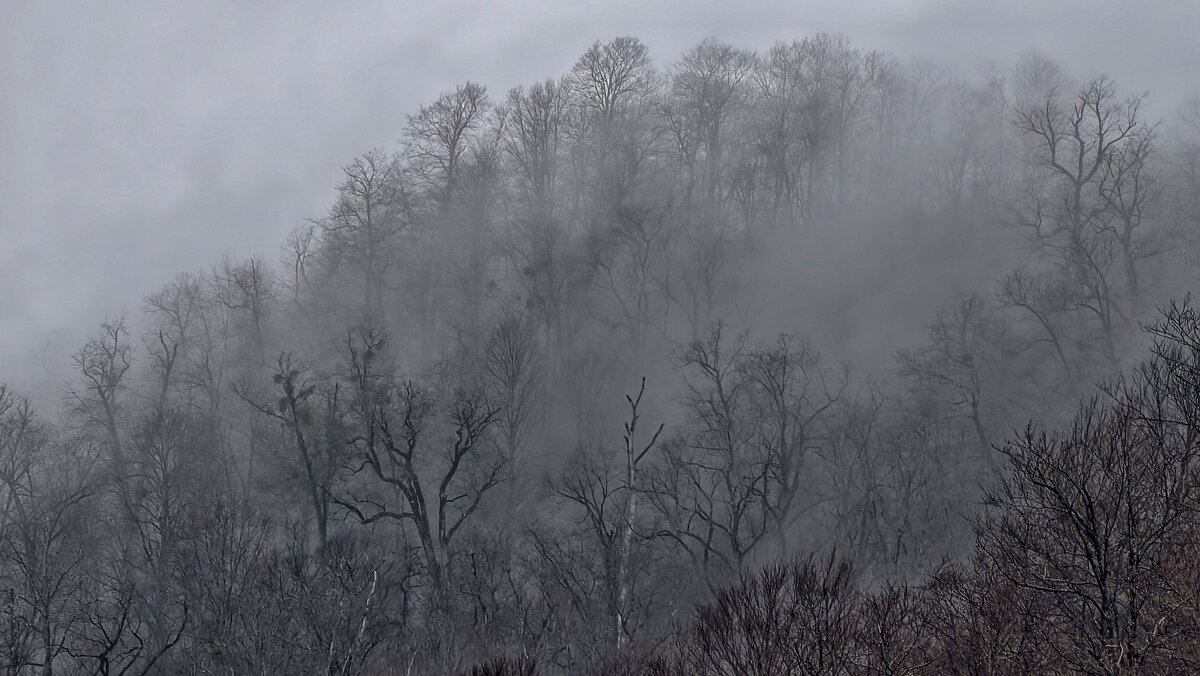 Туман в горах - Мариша 