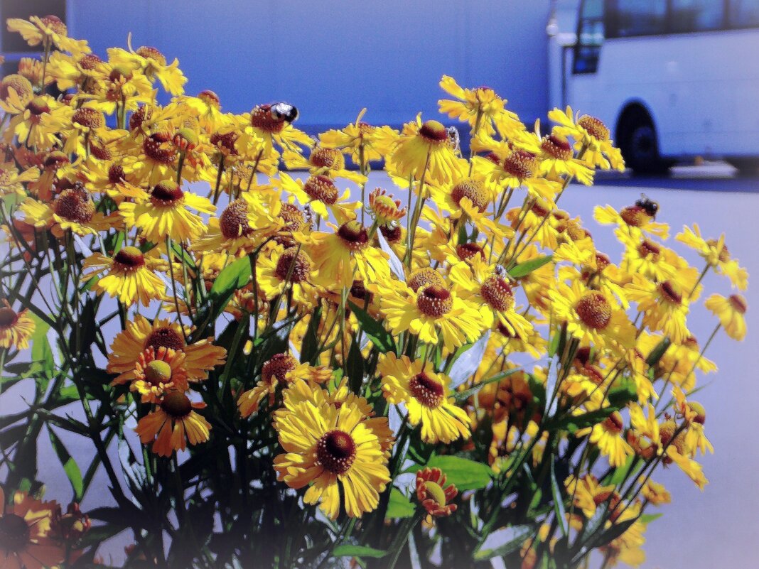 На  автостанции - Фотогруппа Весна