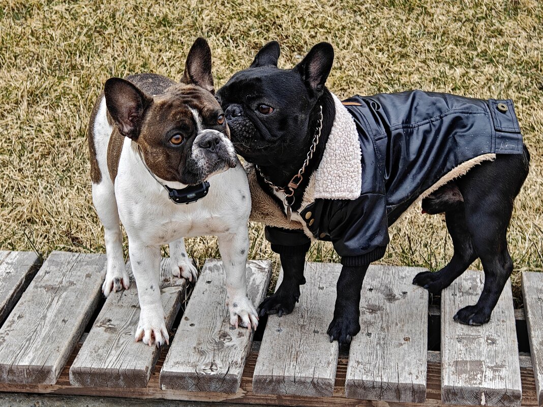 Ростовские зарисовки - Александр Гапоненко Ростовские зарисовки - Александр Гапоненко