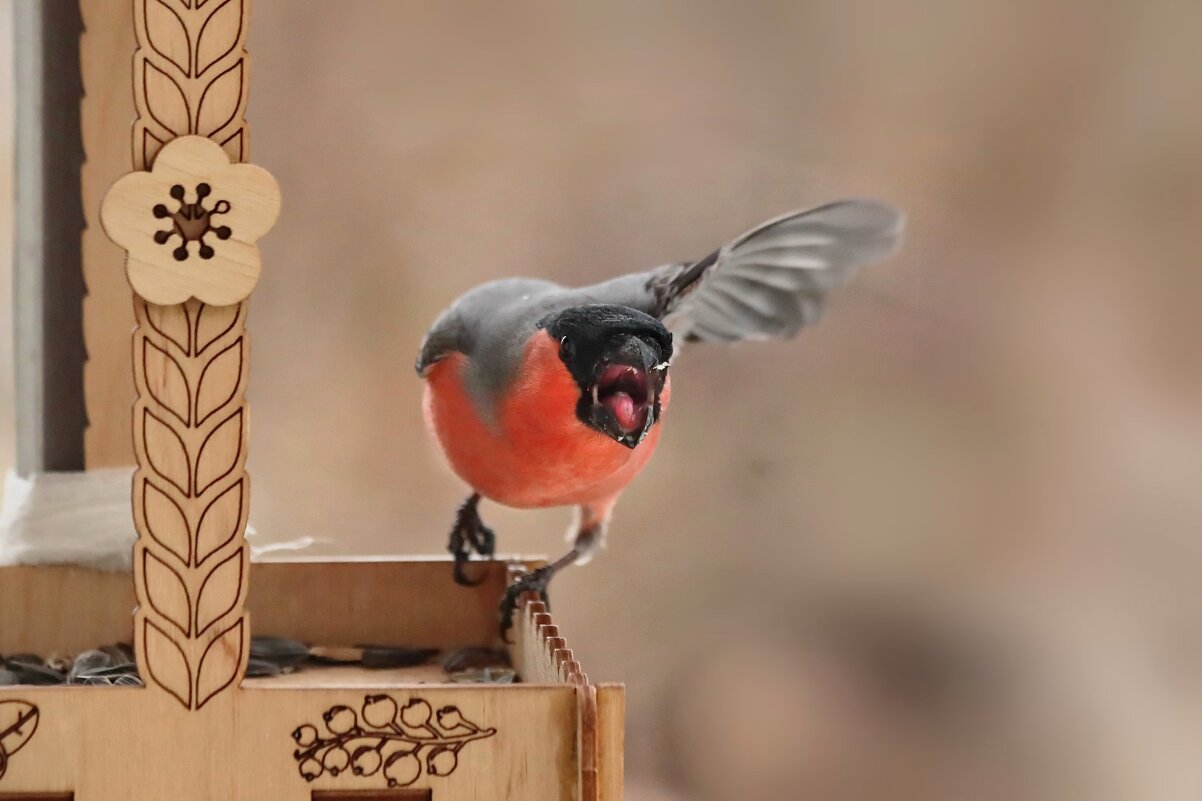 Поворачивай налево. - Татьяна Бравая