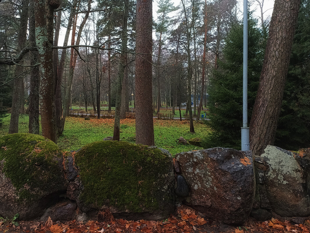 Валуны в зелёном мху. - Лилия *
