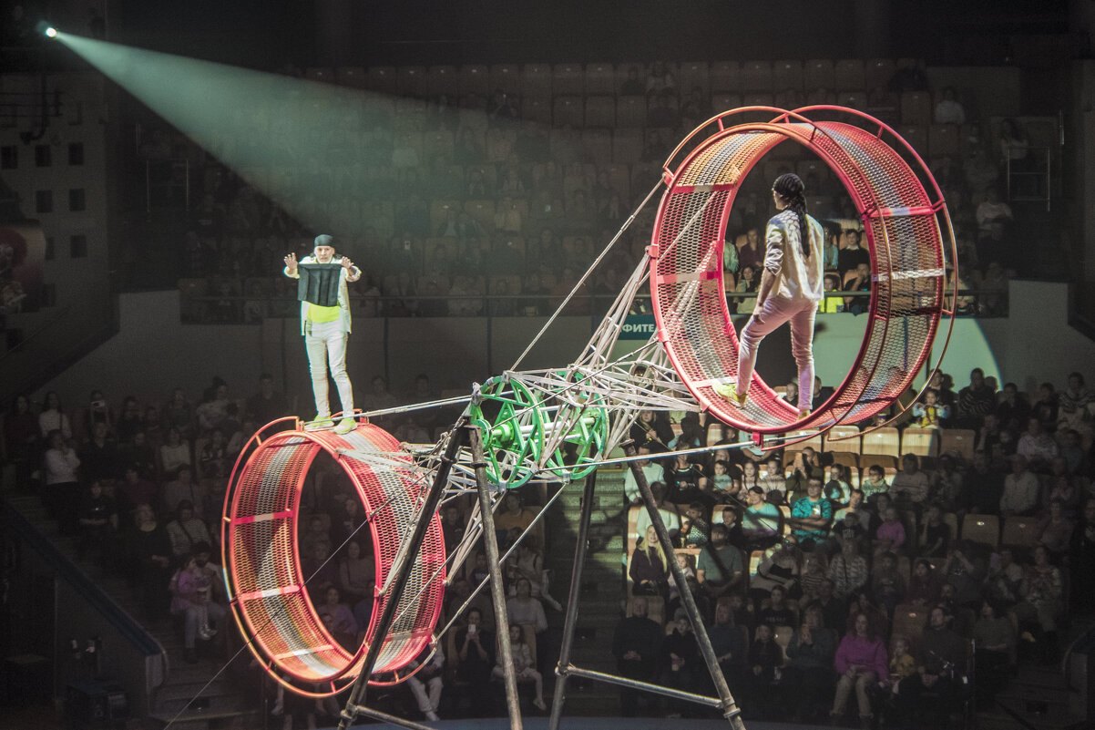 Мой город - ЦИРК - Владимир Максимов