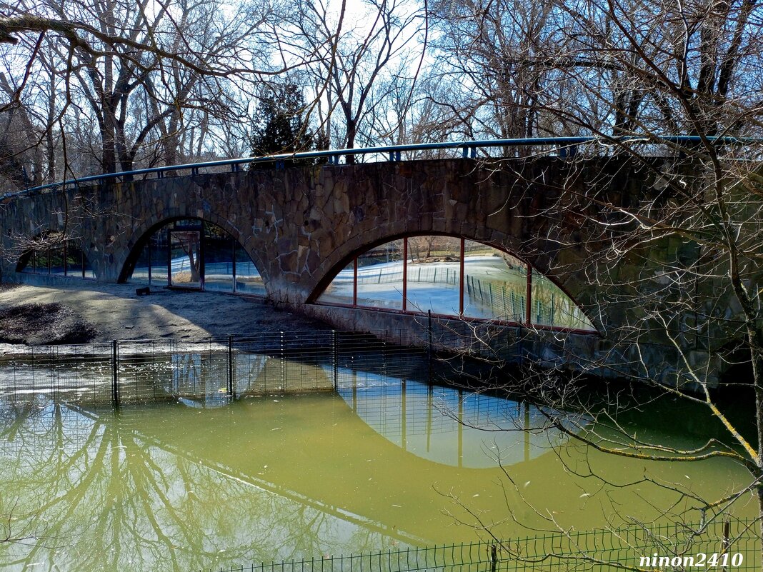 Март в ростовском зоопарке - Нина Бутко