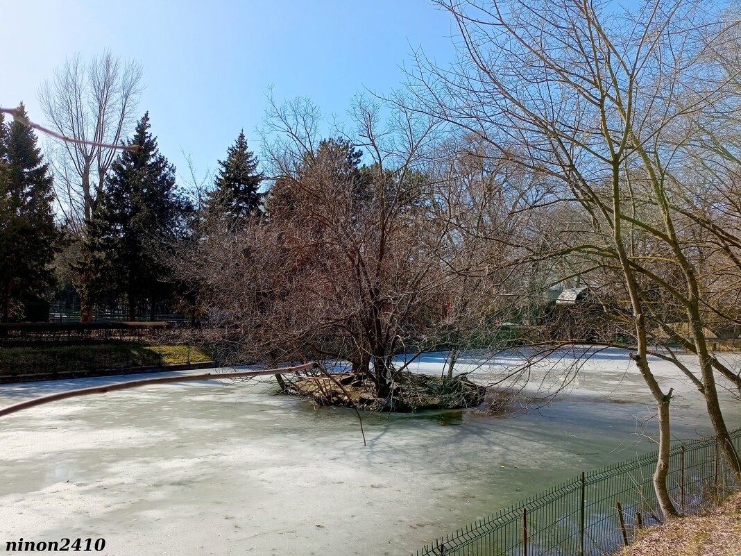 Март в ростовском зоопарке - Нина Бутко