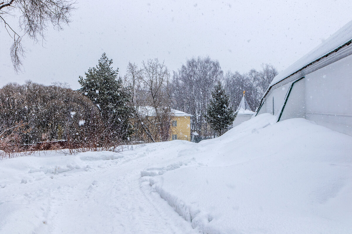 Утренний снегопад. - Анатолий. Chesnavik.