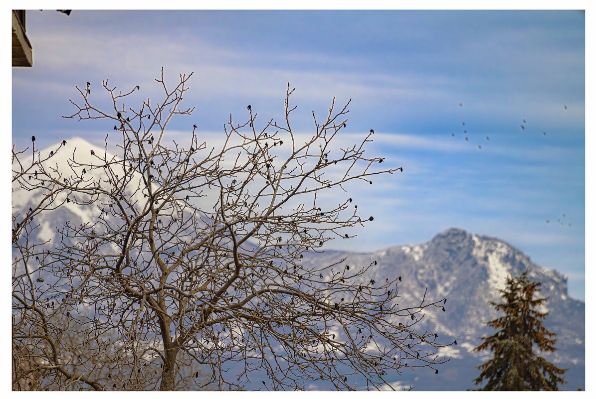 Ну не  Фудзияма, но Машук! - Вячеслав Назаренко
