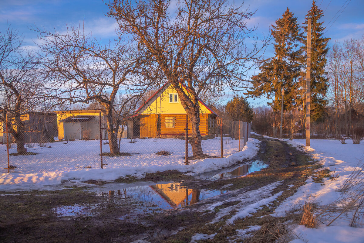 **** - Елизавета .