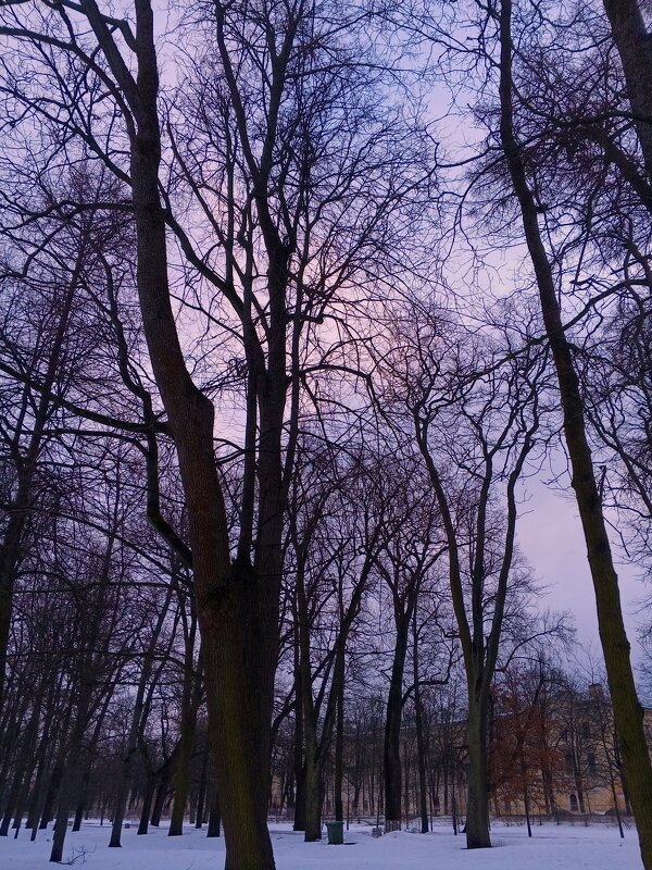 Рассвет - Сапсан 