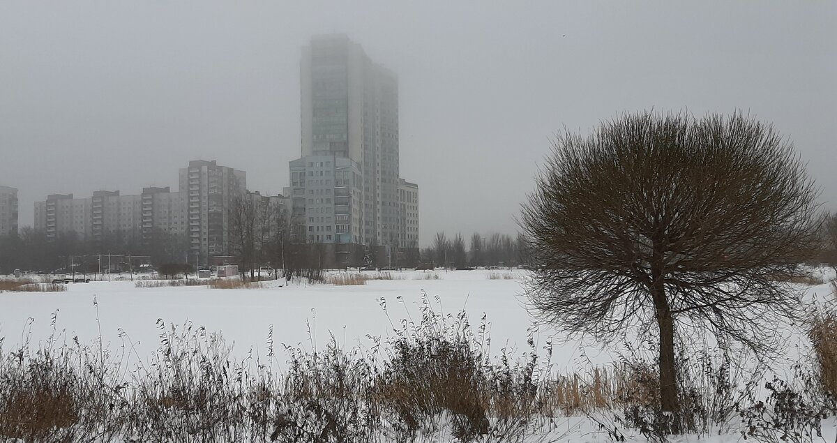 Зима - Наталья Герасимова