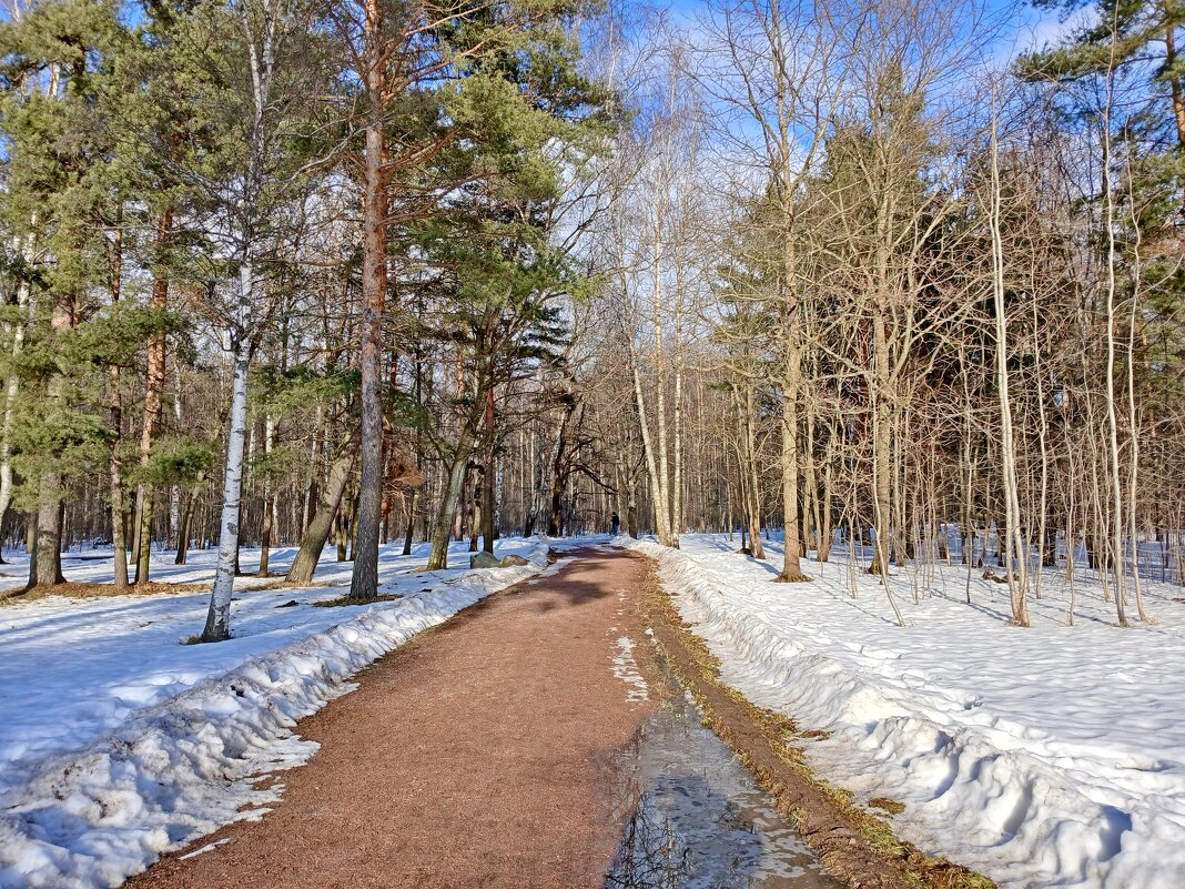 Начало марта - Лия ☼