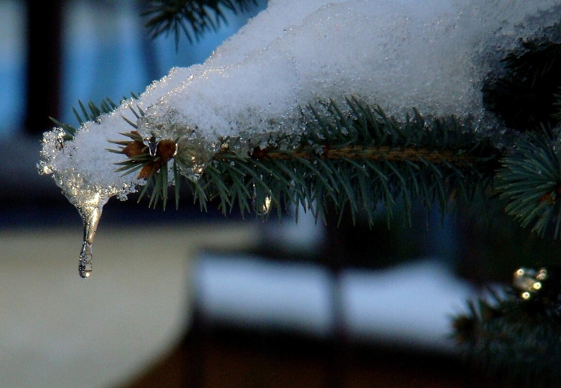 "Февраль... Достать чернил и плакать..." Б.Пастернак - Syntaxist (Светлана)