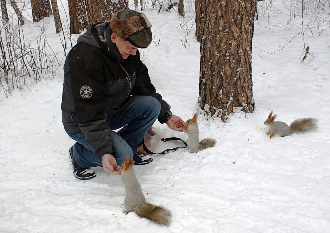 Милые вы мои, всем хватит! - Галина Нестратова