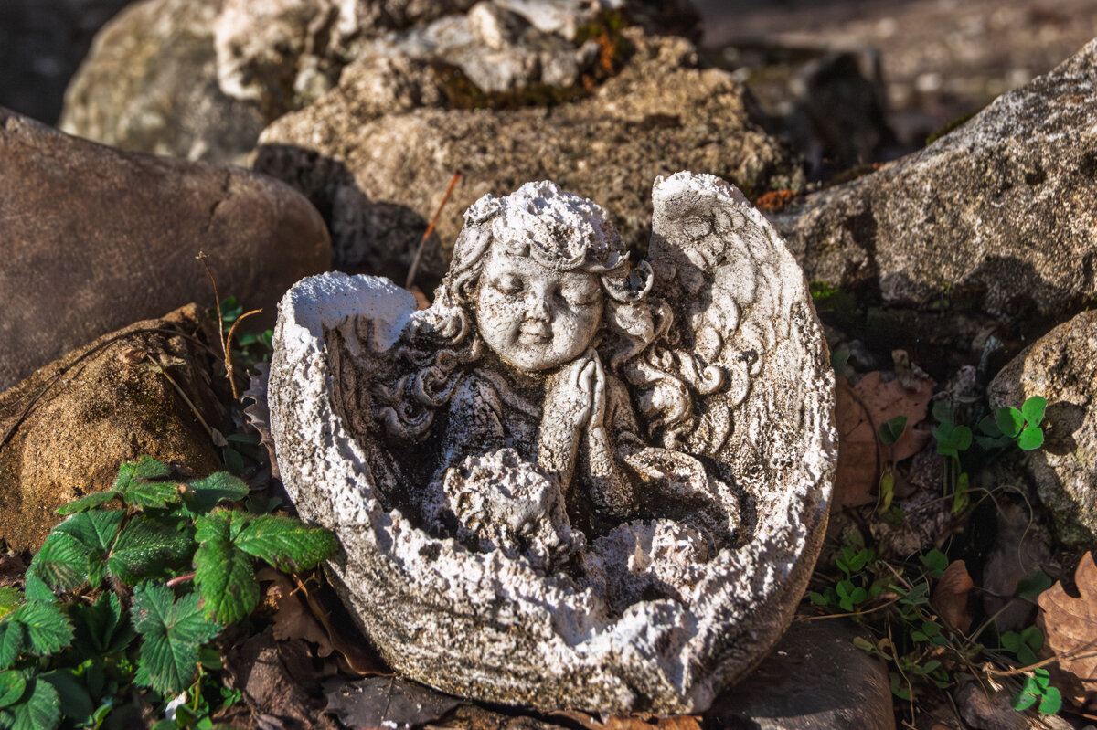 Ангел у Святого источника - Игорь Сикорский