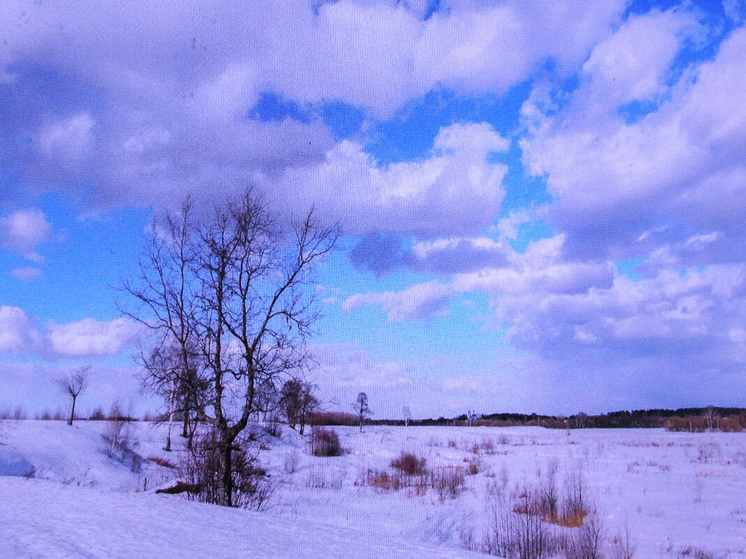 Красота ранней весны - Людмила Смородинская